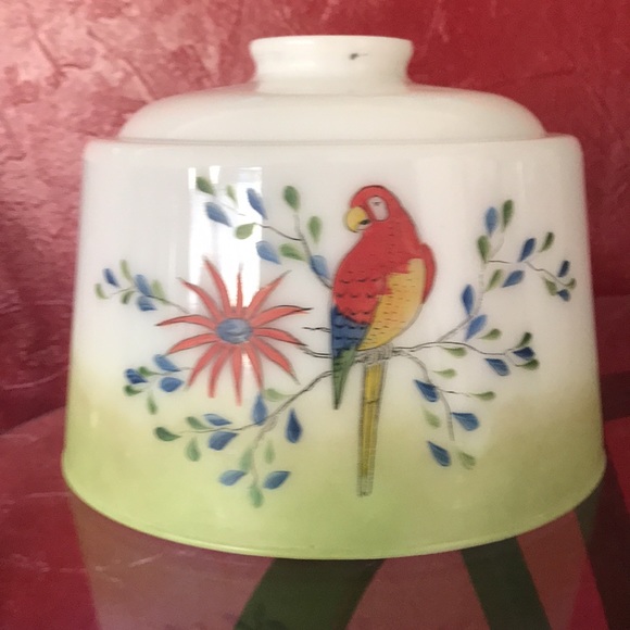 Vtg Hand Painted Parakeets Frosted Glass Ceiling Light Globe - Picture 6 of 9